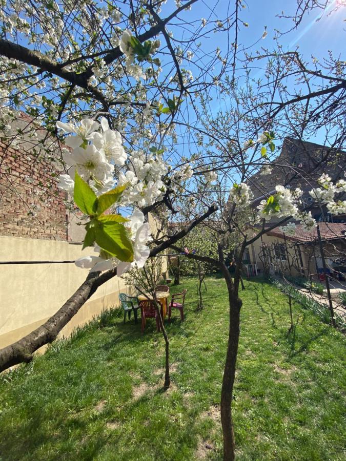 Zen House Timisoara Exterior photo
